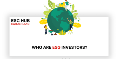 Who are ESG investors?