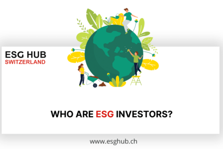 Who are ESG investors?